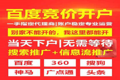 成功案例揭秘：百度SEO推广公司如何助力企业品牌建设